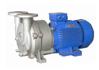 2BV6水環(huán)真空泵